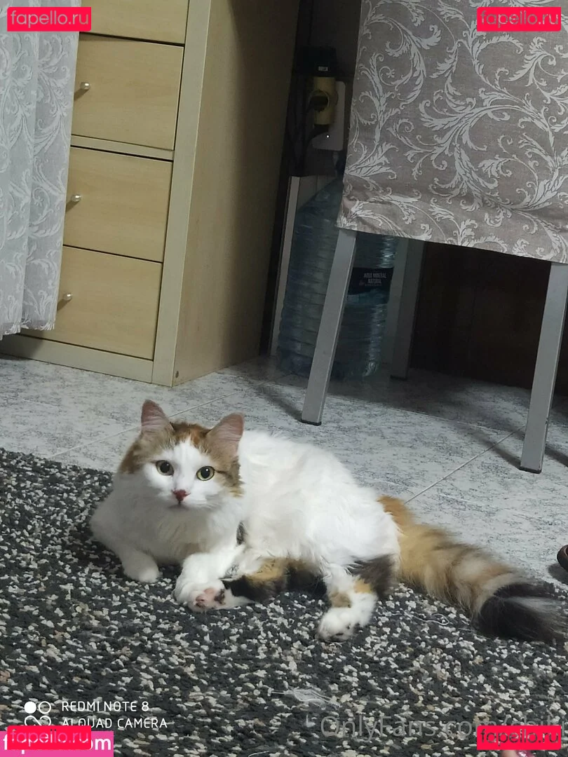 cbiki Onlyfans Photo Gallery 