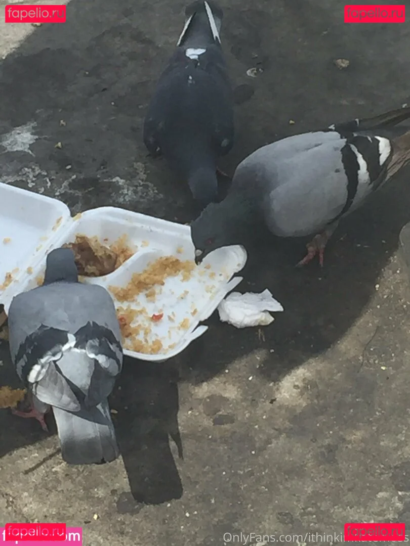 illtakeeverything Onlyfans Photo Gallery 