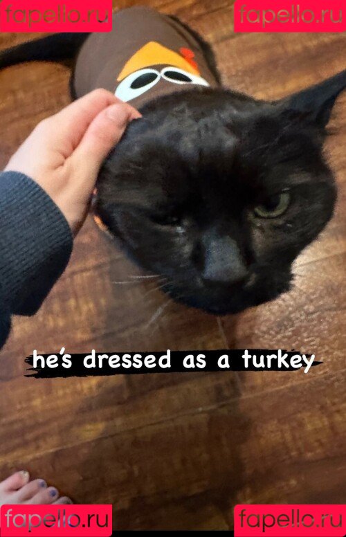 Kaisa Onlyfans Photo Gallery 