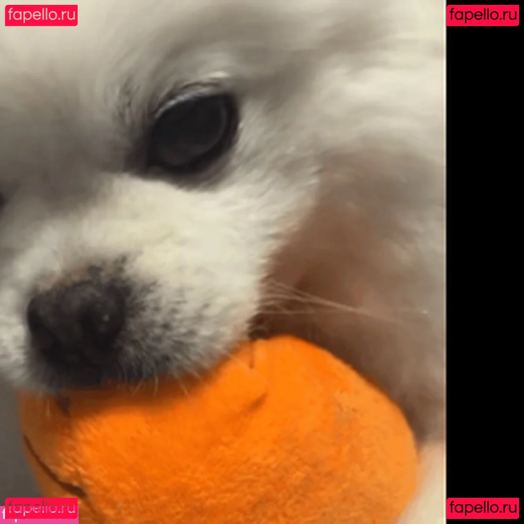 1004ysus Onlyfans Photo Gallery 