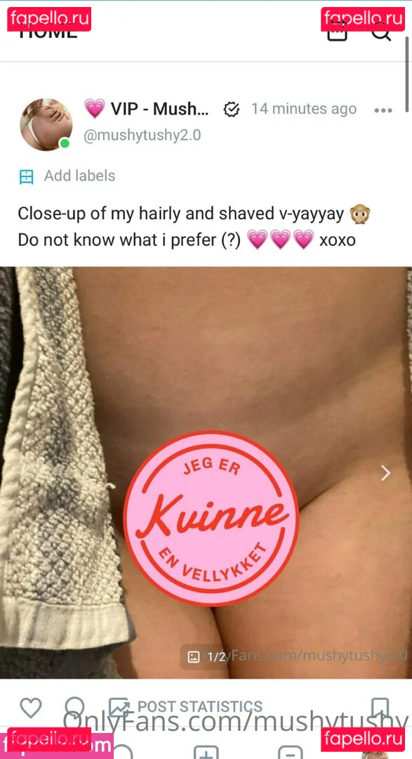 mushytushy Onlyfans Photo Gallery 