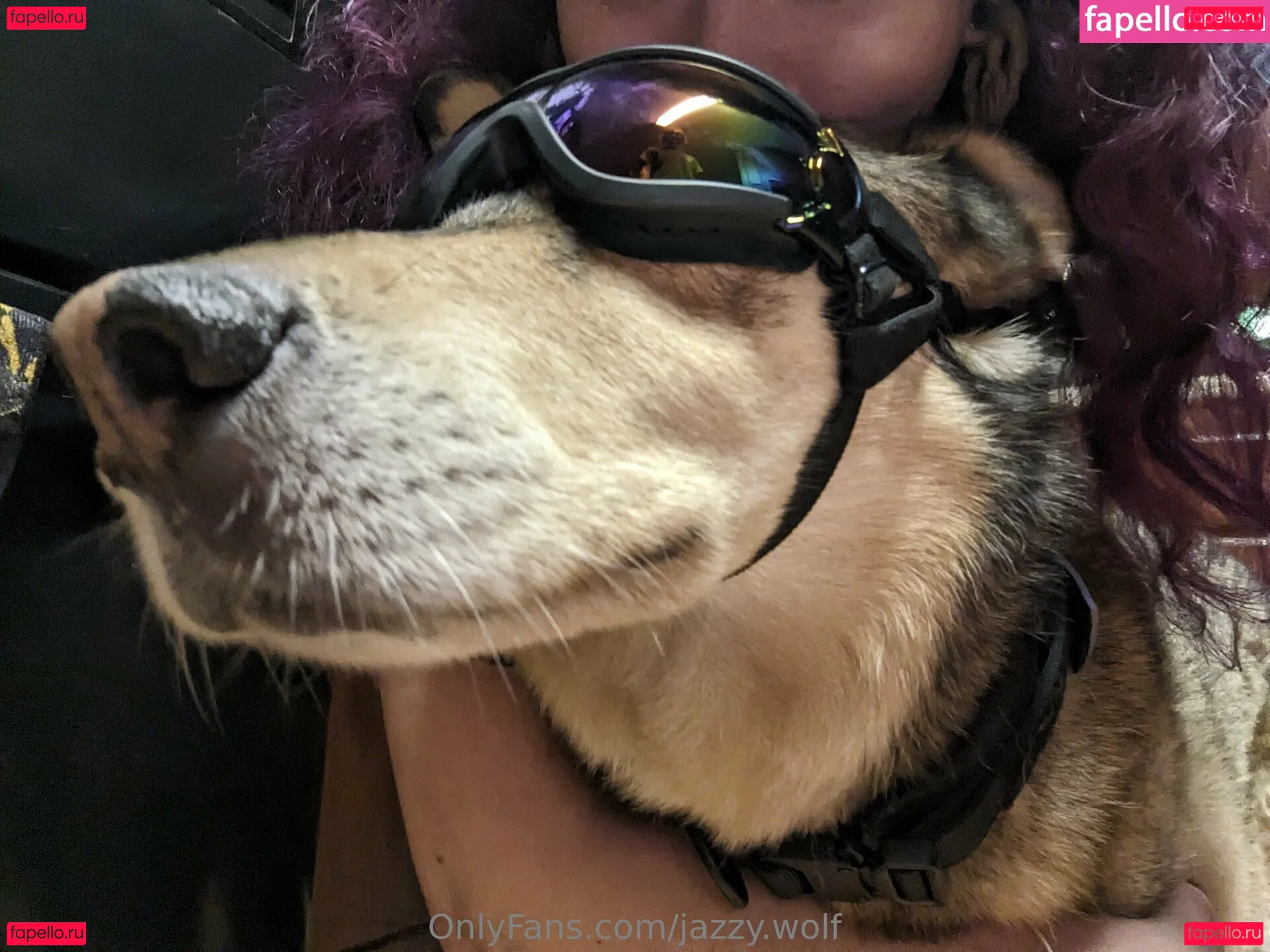 jazzy.wolf Onlyfans Photo Gallery 