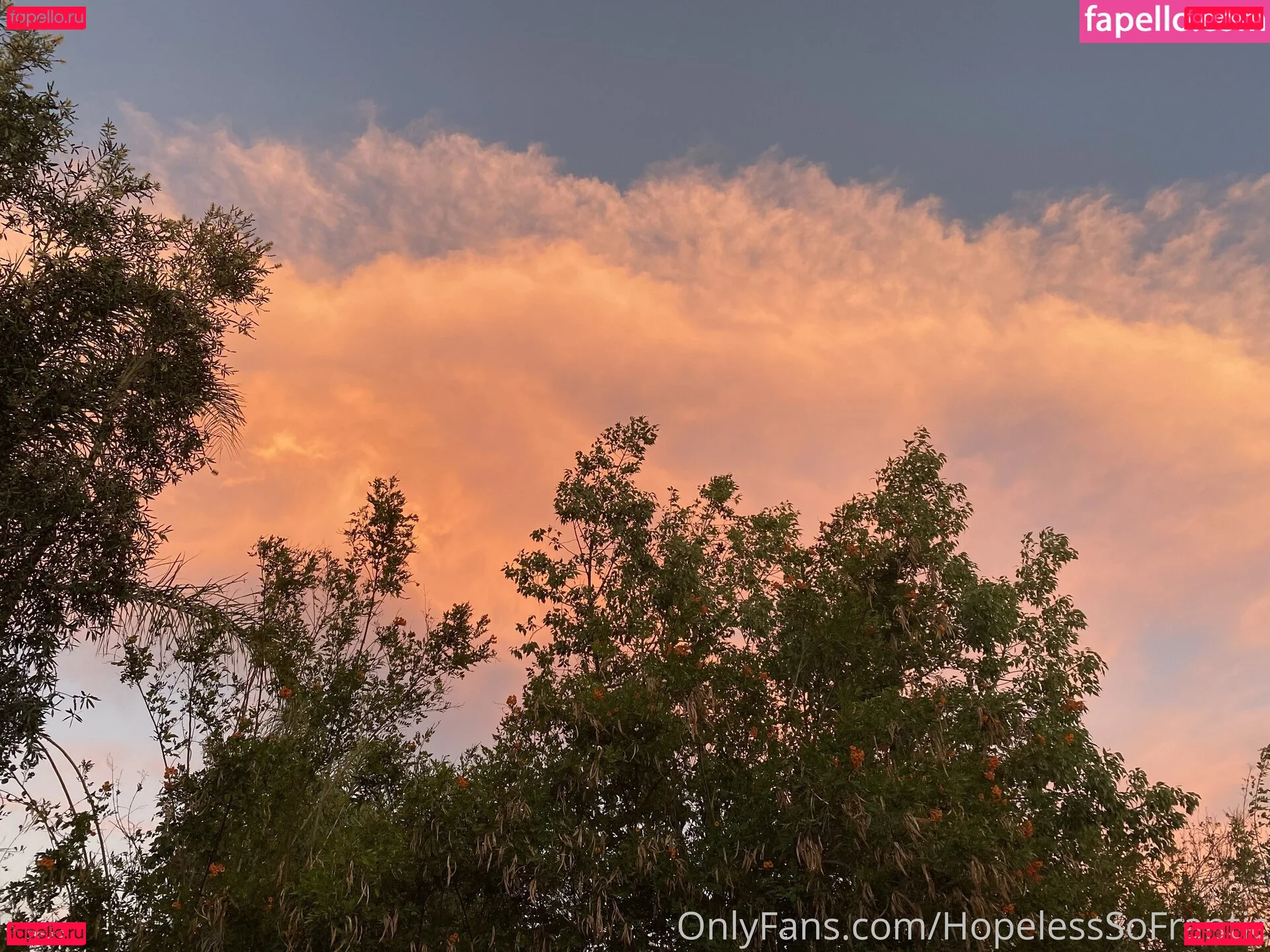 Juniper Hope Onlyfans Photo Gallery 