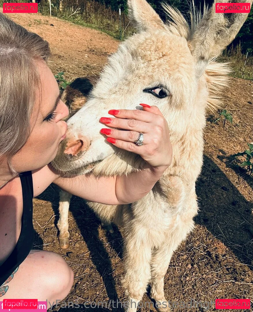 darkvixenent Onlyfans Photo Gallery 