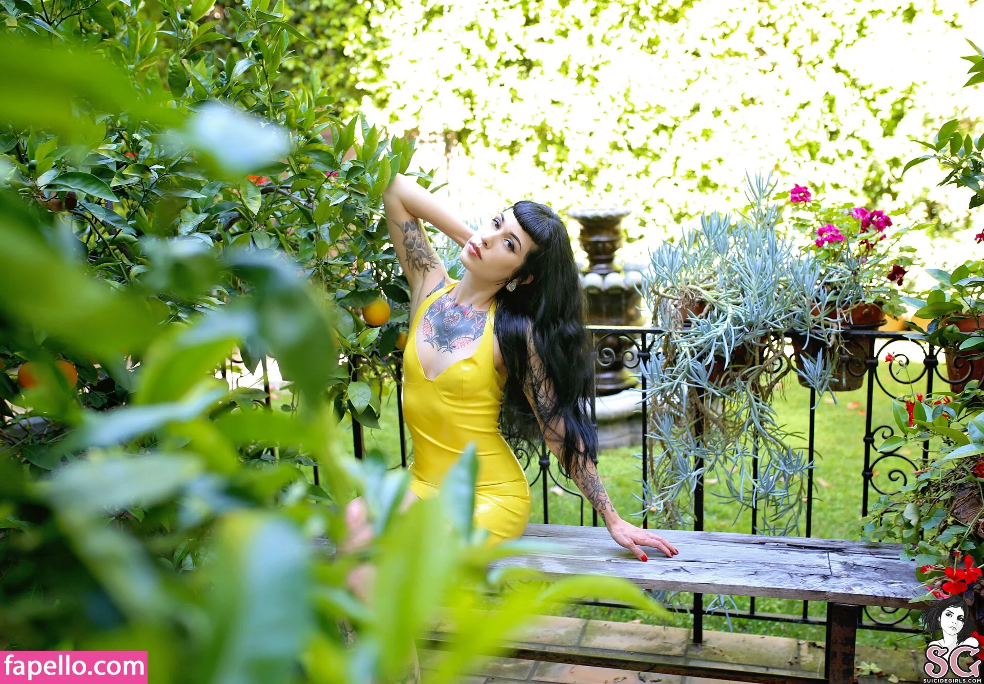 Arson Onlyfans Photo Gallery 