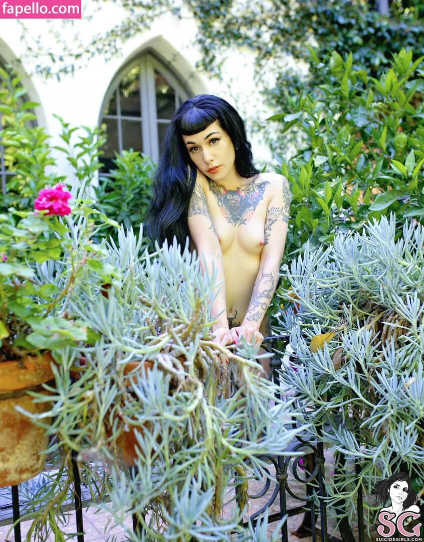 Arson Onlyfans Photo Gallery 