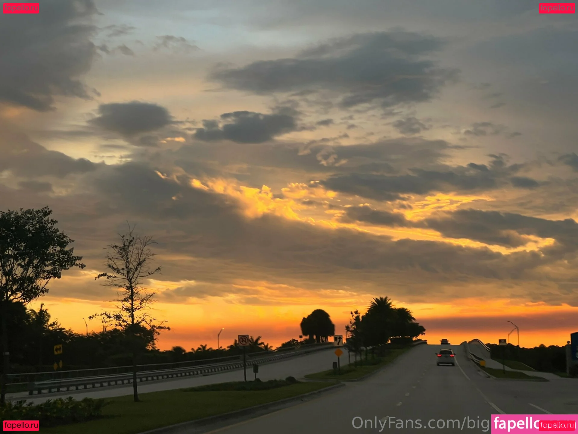 vanessaselene Onlyfans Photo Gallery 