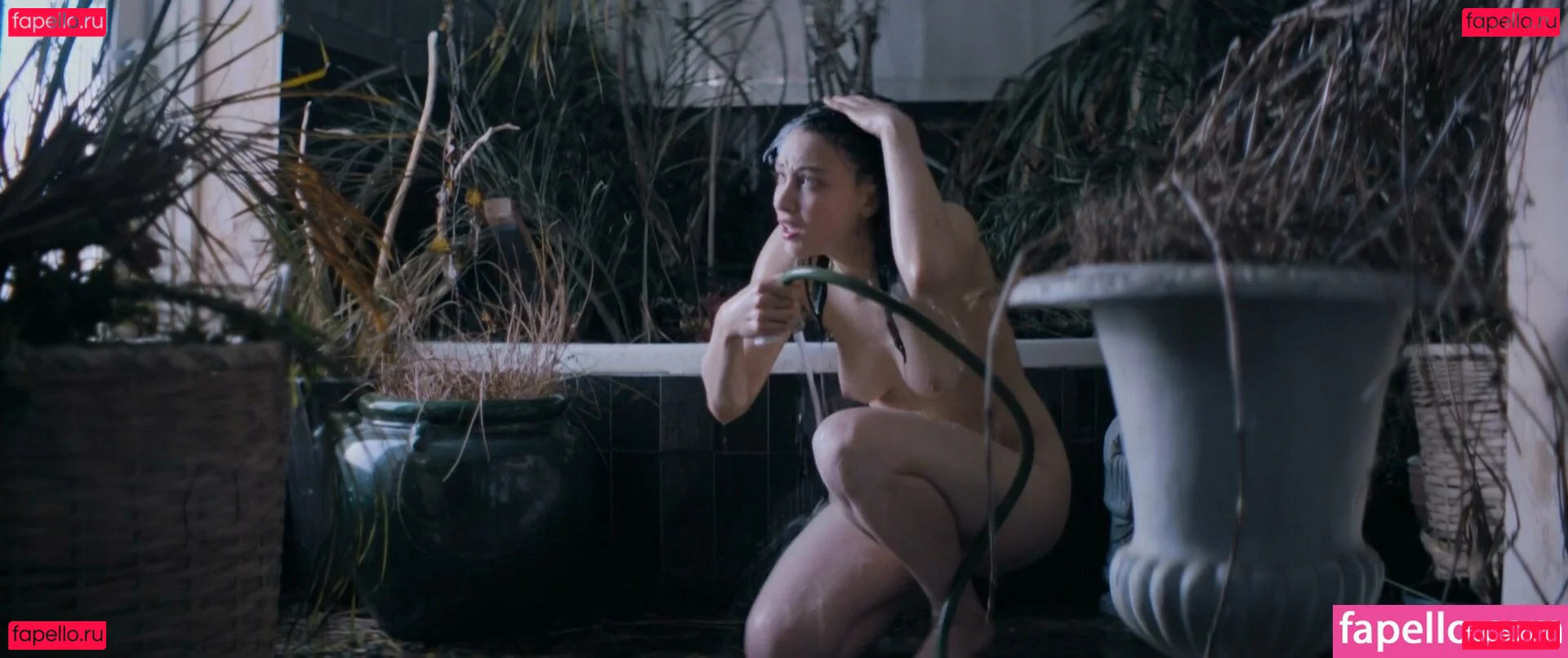 Sarah Gadon Onlyfans Photo Gallery 