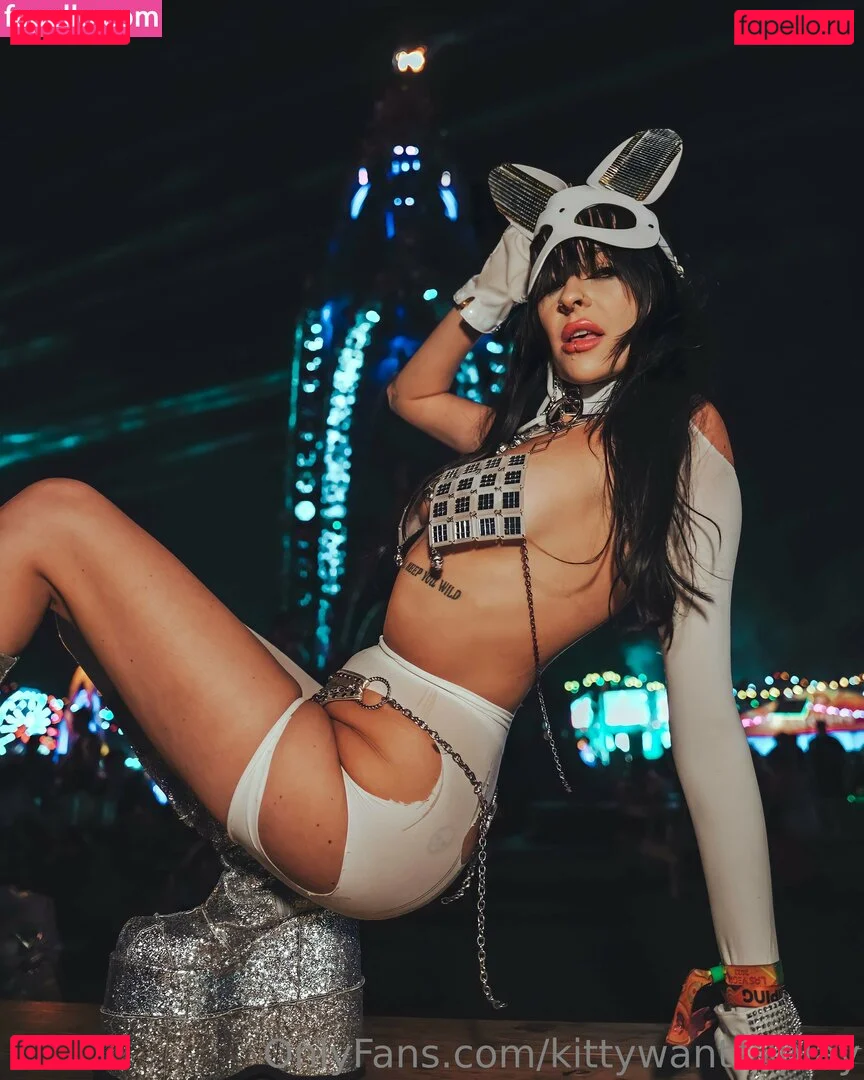 Disko.kitty Onlyfans Photo Gallery 