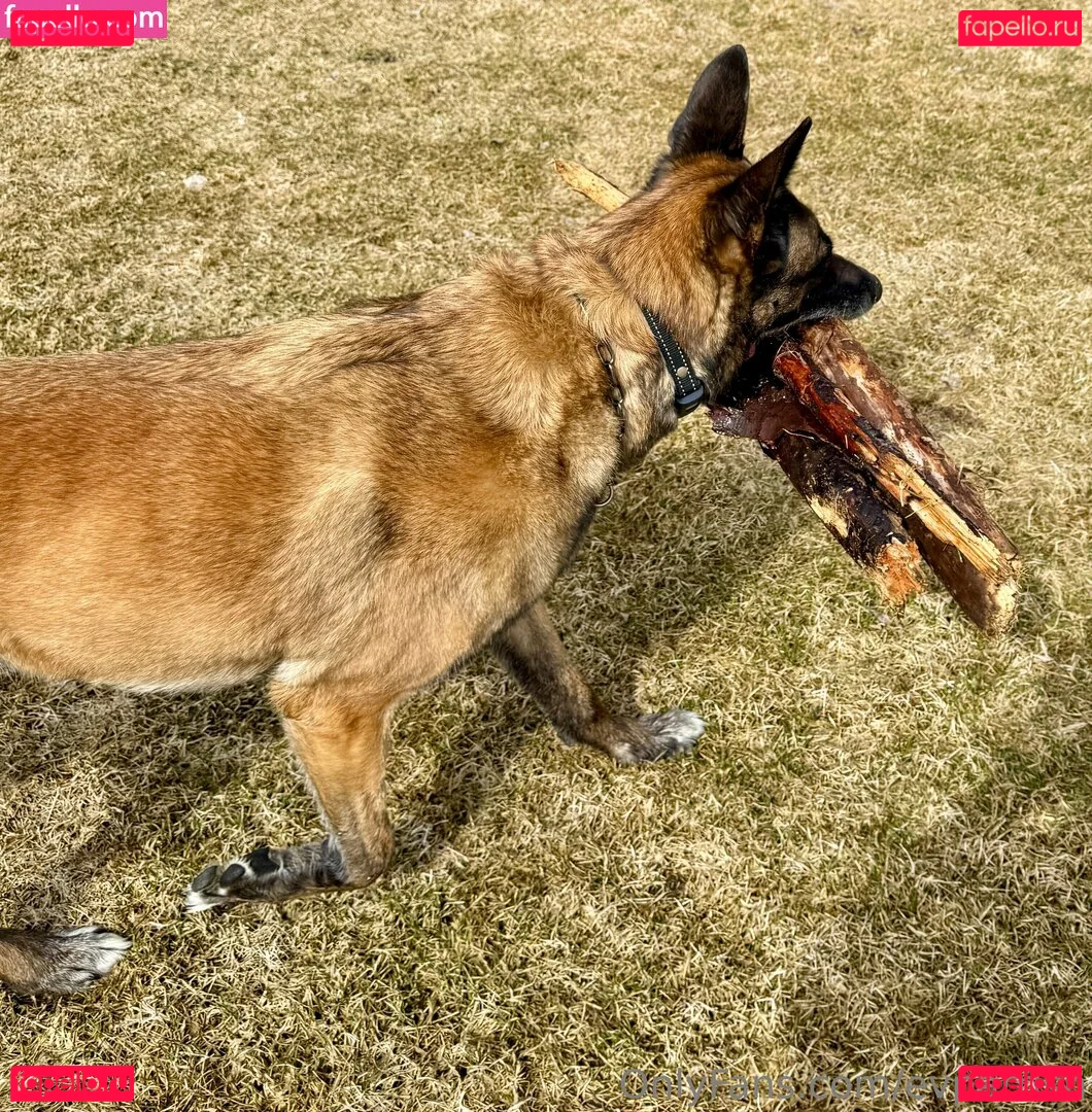 evparrish Onlyfans Photo Gallery 