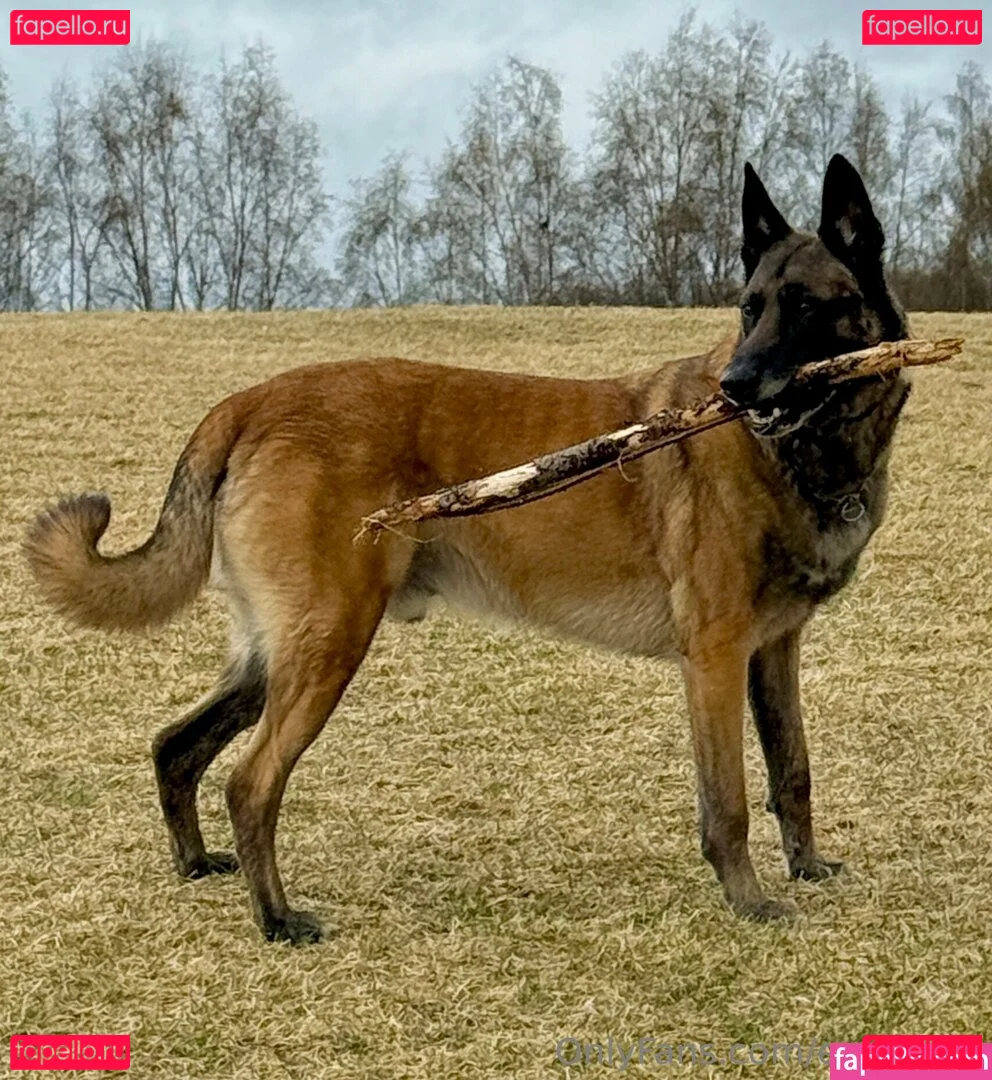 evparrish Onlyfans Photo Gallery 