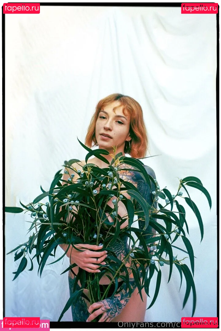 Cvrmillv Onlyfans Photo Gallery 