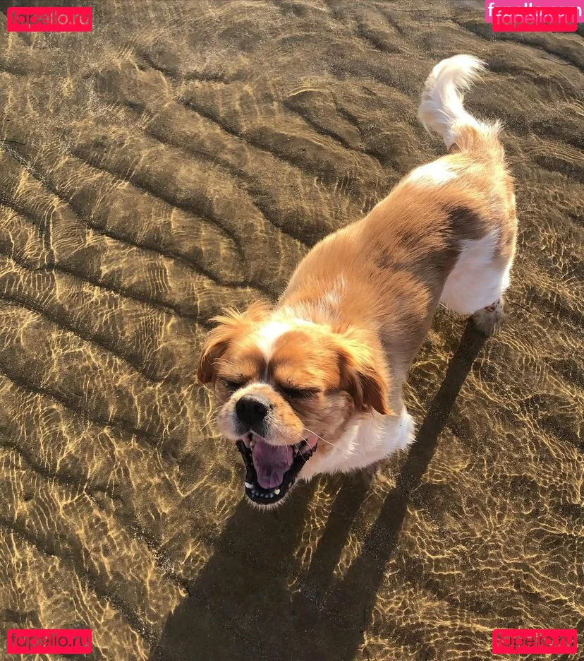 Ruby Carter Onlyfans Photo Gallery 