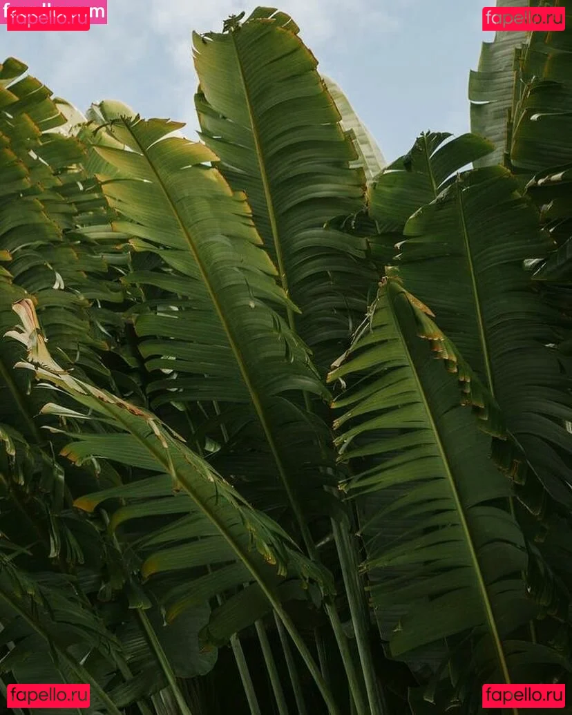 Ruby Carter Onlyfans Photo Gallery 