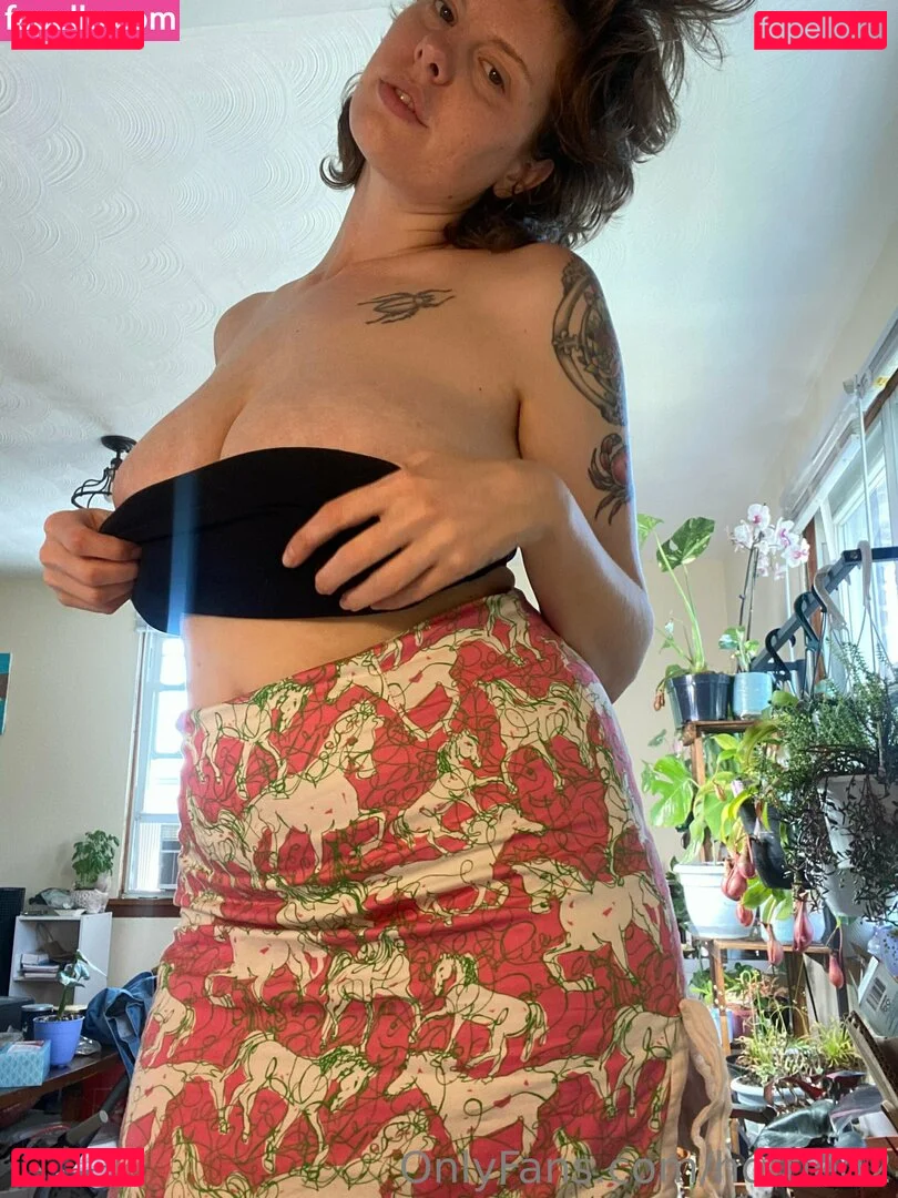 hottied2 Onlyfans Photo Gallery 