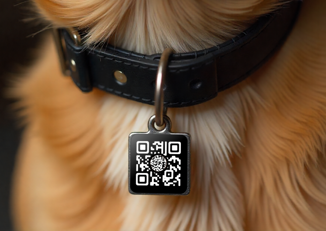 ChatQR Pet Tag