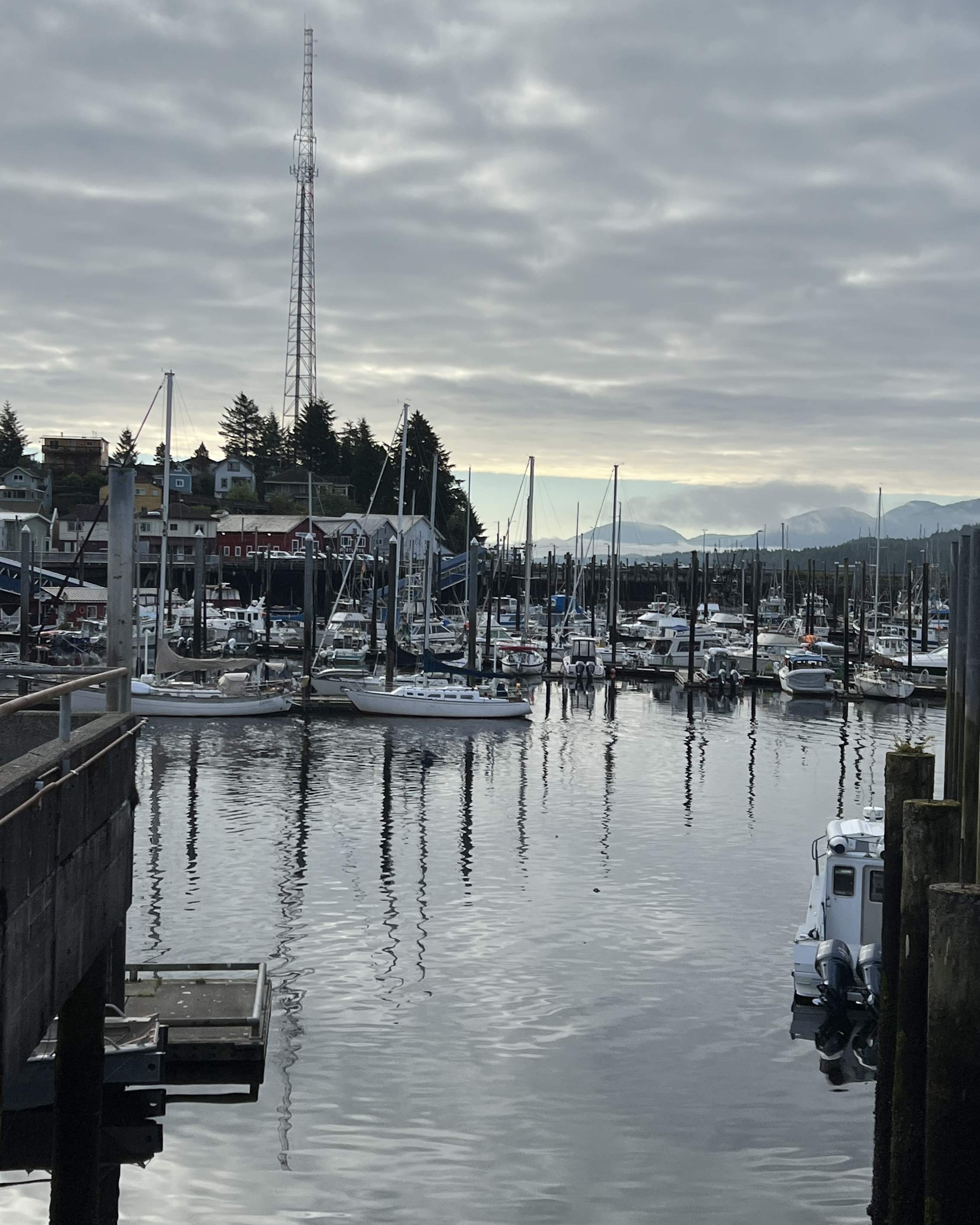 Alaska - Body Boats Docked Marina Reflecting Cloudy Sky - 08-09-2025 - Vertical.jpg
