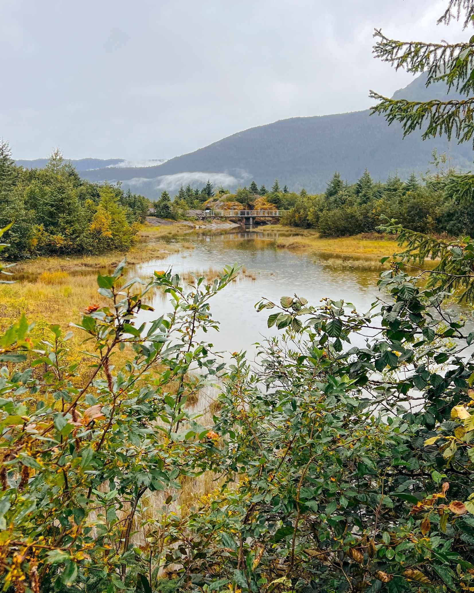 Alaska - Body Wooden Footbridge Over Tranquil Pond Autumn - 08-09-2025 - Vertical.jpg