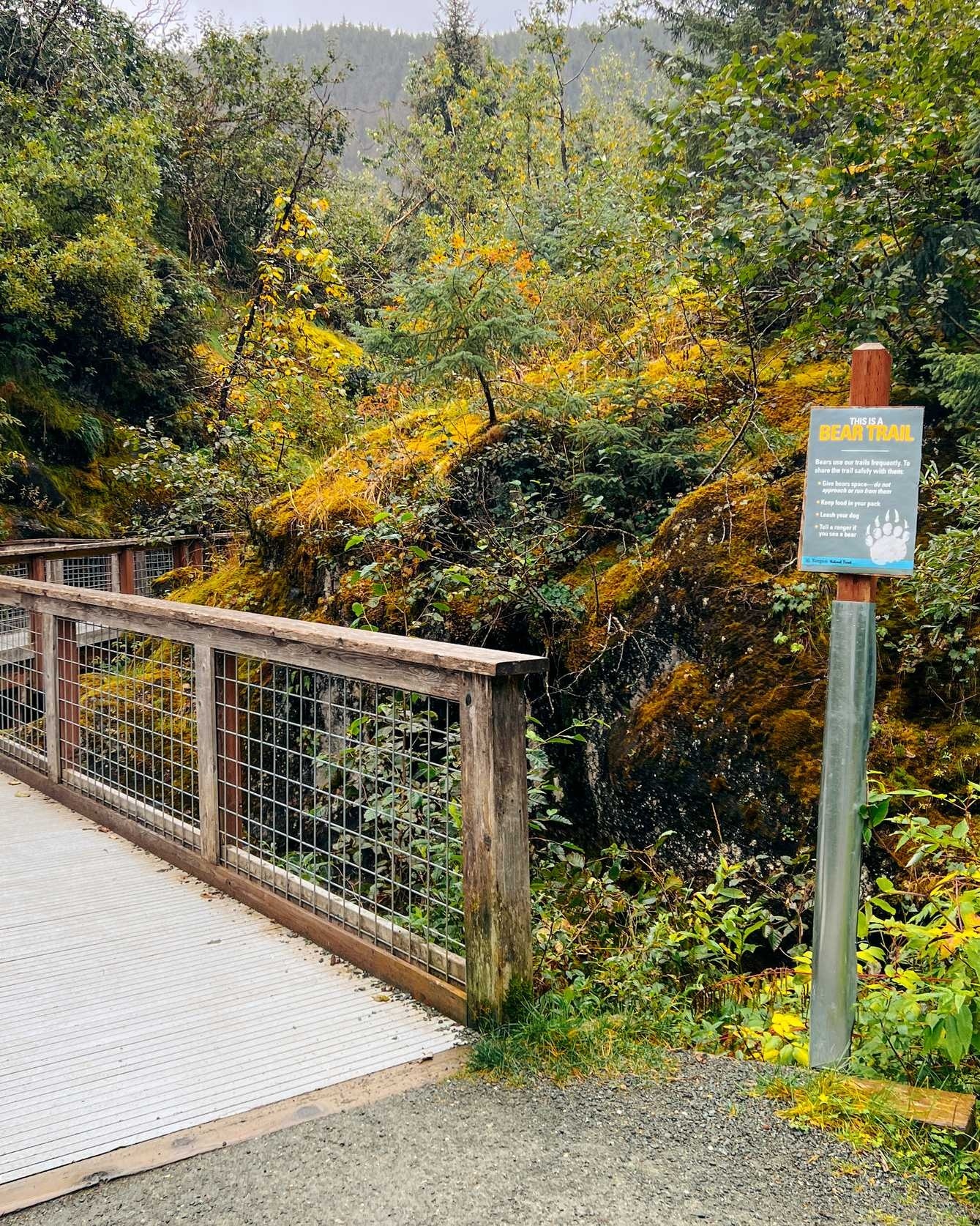 Alaska - Br Wooden Boardwalk Scenic Forest Trail - 08-09-2025 - Vertical.jpg