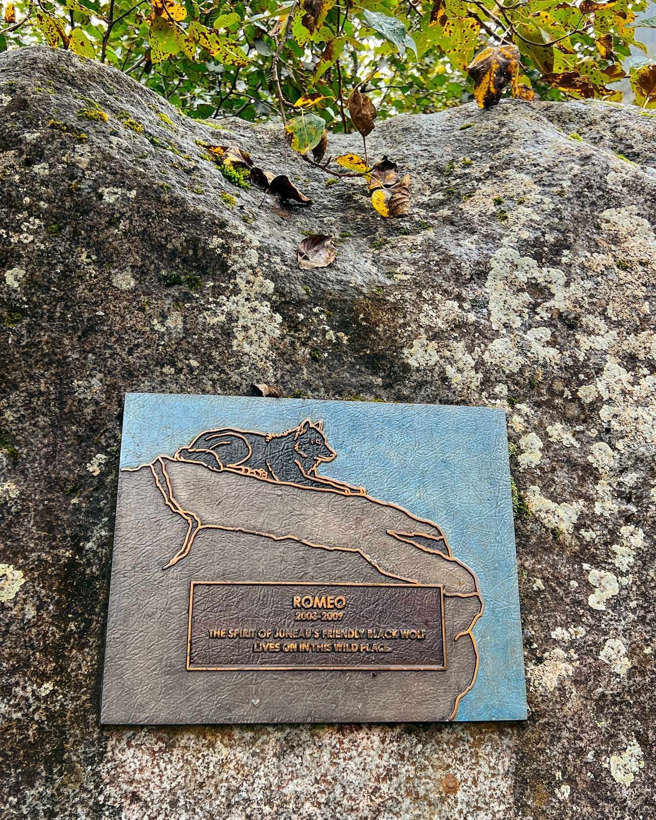 Alaska - Plaque Engraved Wooden Nature Panel Rock Moss - 08-09-2025 - Vertical.jpg