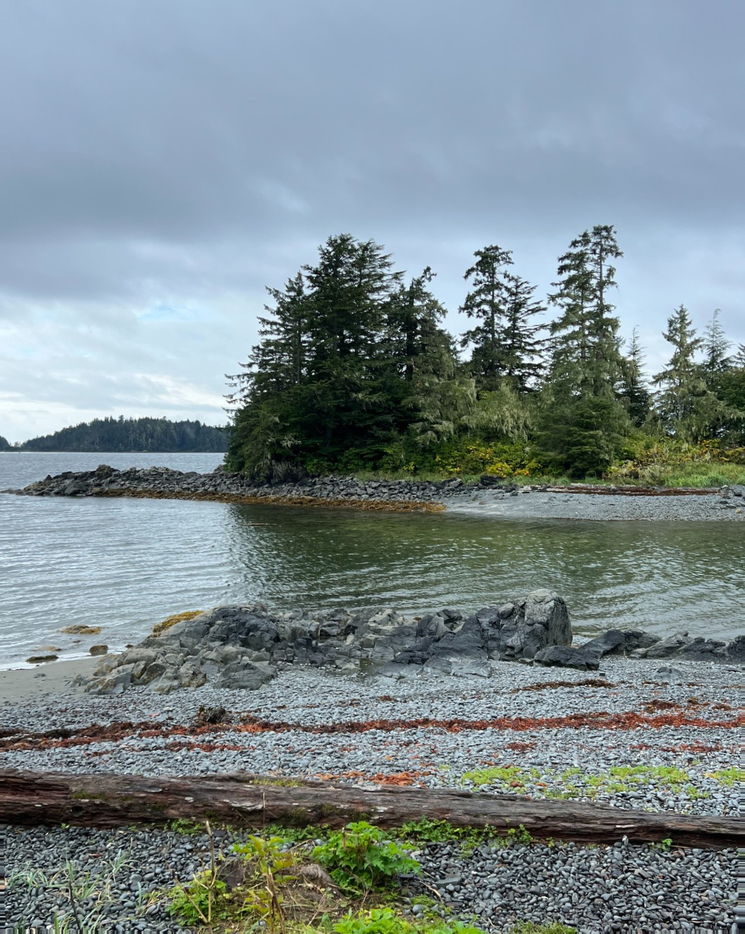 Sitka Cruise Port - Rocky Shoreline Forest Island Waters - Vertical 21.jpg