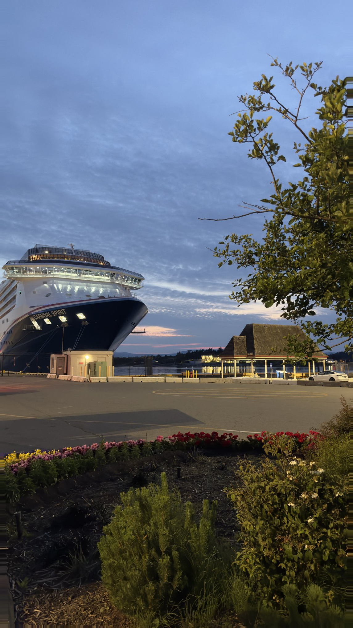 Victoria Cruise Port - Carnival Spirit Ship Sunset Floral Garden - 06-23-2025 - Vertical.jpg