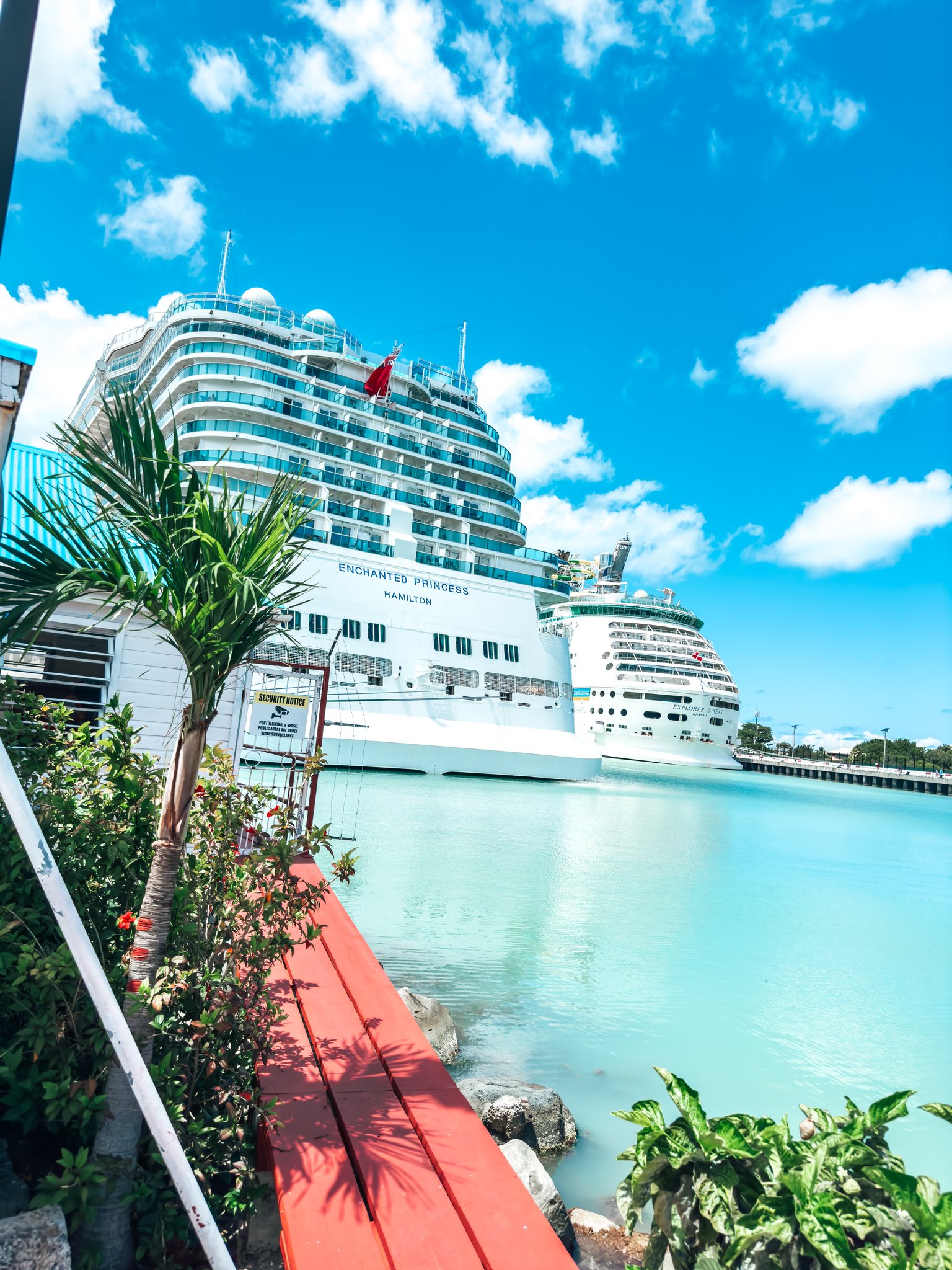 Antigua Cruise Port - St. Johns Enchanted Princess Luxury Ship Tropical Greenery - 03-12-2024 - Vertical.jpg