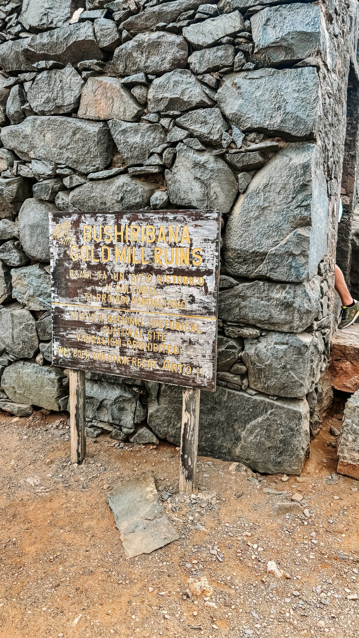 Aruba Cruise Port - Bushiribana Gold Mill Ruins Scenic Destination - 03-18-2025 - Vertical.jpg