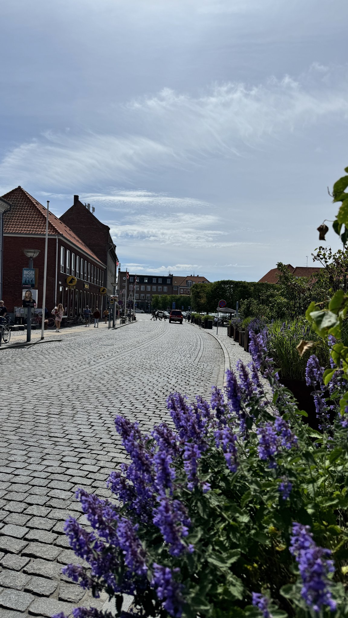 Bornholm Denmark Cruise Port - Cobblestone Street Purple Flower Blooming Buildings - 06-04-2024 - Vertical.jpg