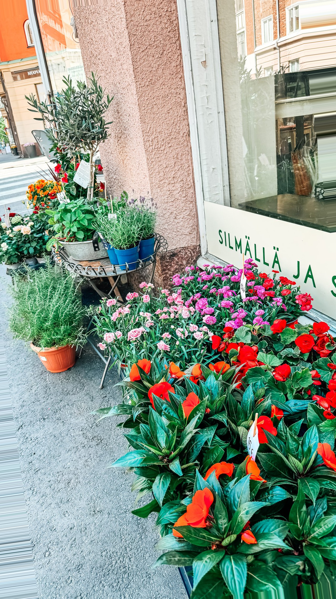 Helsinki Finland Cruise Port - Flower-Filled Outdoor Display Colorful Potted Plants - 06-01-2024 - Vertical.jpg