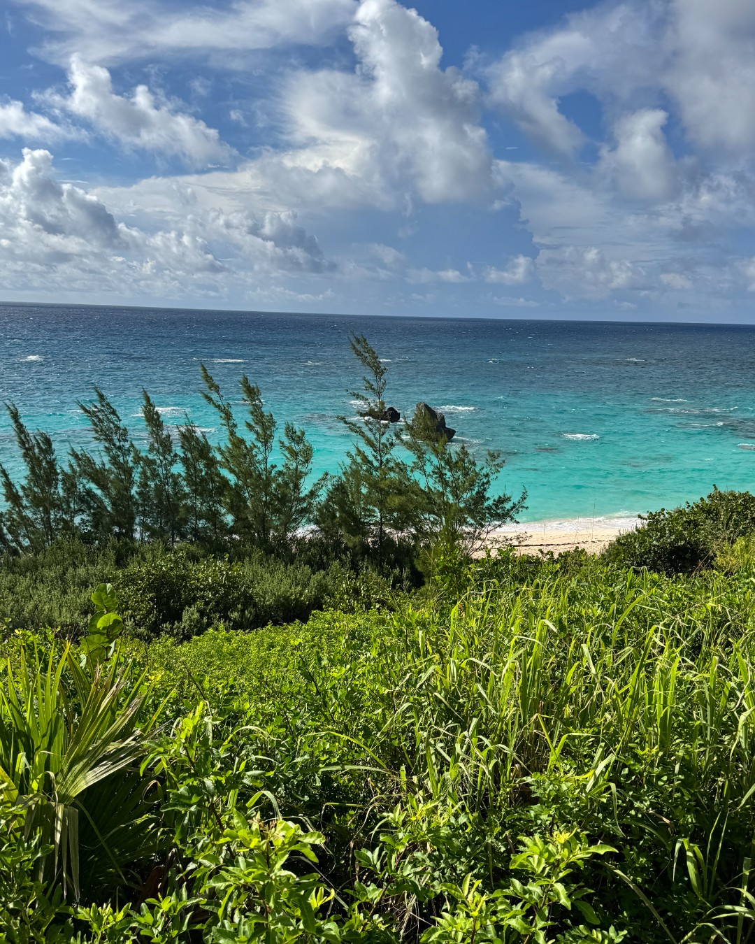 Bermuda Cruise Port - Kings Wharf Royal Na - Vertical 195.jpg