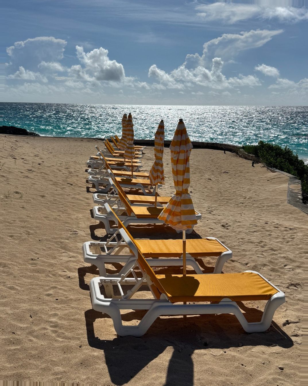 Bermuda Cruise Port - Kings Wharf Royal Na - Vertical 259.jpg