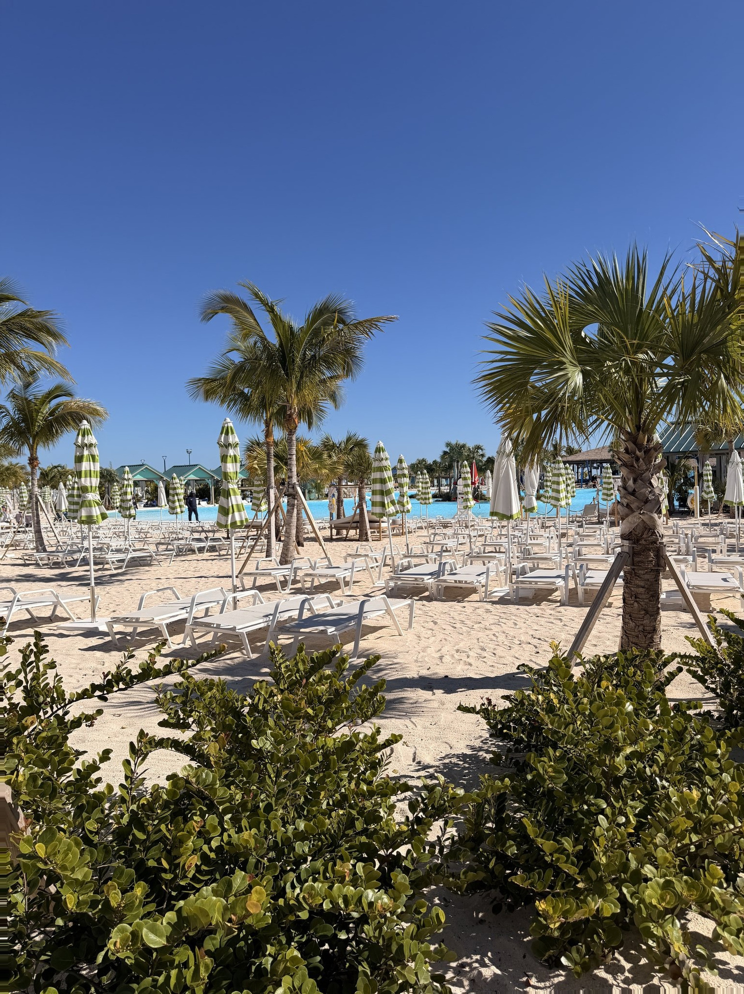 Celebration Key Cruise Port - City Of Freeport Bahamas Palm Trees Oceanfront Promenade - 02-06-2026 - Vertical.jpg