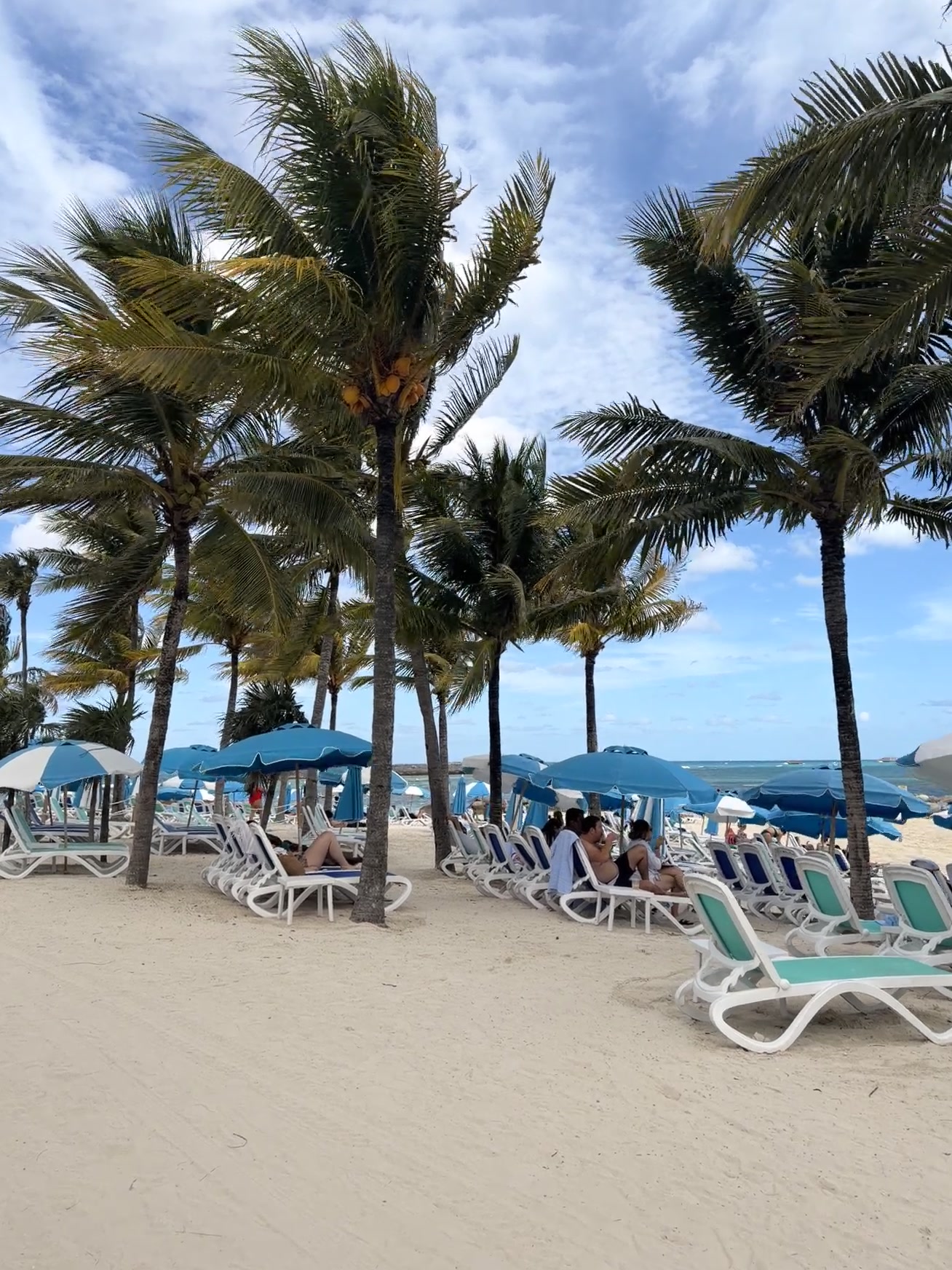 CocoCay Cruise Port - Relaxing Beach Scene with Palm Trees - 11-04-2025 - Vertical.jpg