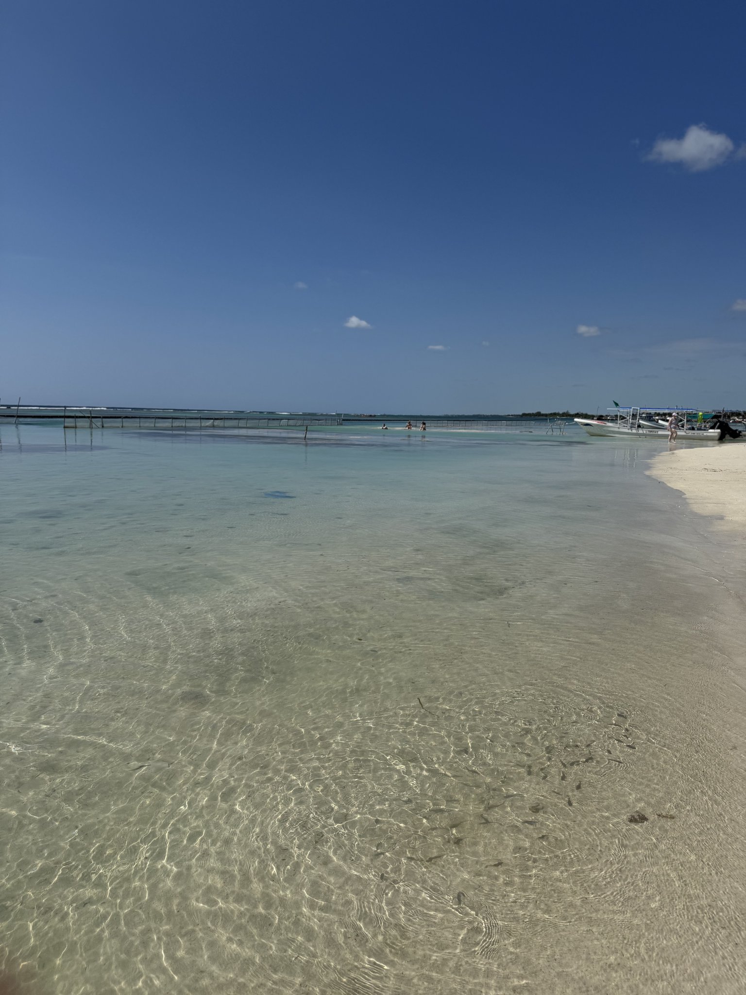 Costa Maya Cruise Port - Mexico Pics April Tranquil Tropical Shimmering Shoreline - 04-09-2025 - Vertical.jpg