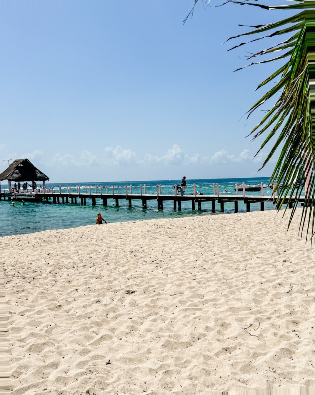 Cozumel Cruise Port - Picturesque Paradise Beach Club in - Vertical.jpg