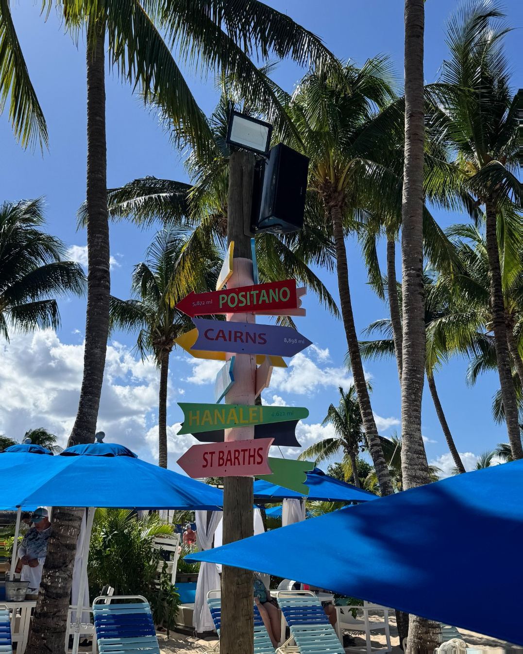 Cozumel Cruise Port - Vibrant Cozumel Port Signage with Palm Trees - Vertical.jpg