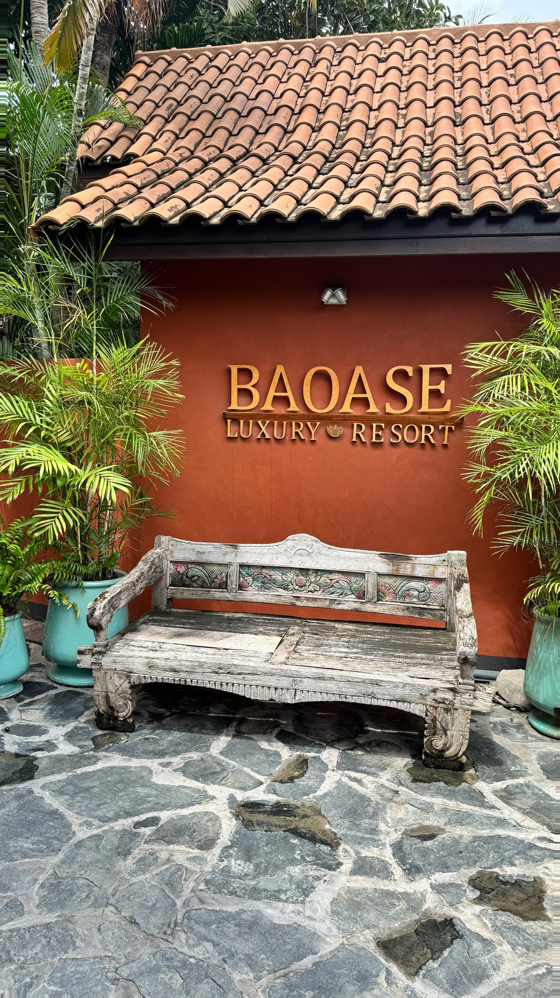 Curacao Cruise Port - Baoase Luxury Resort Rustic Wood Bench - 03-20-2025 - Vertical.jpg