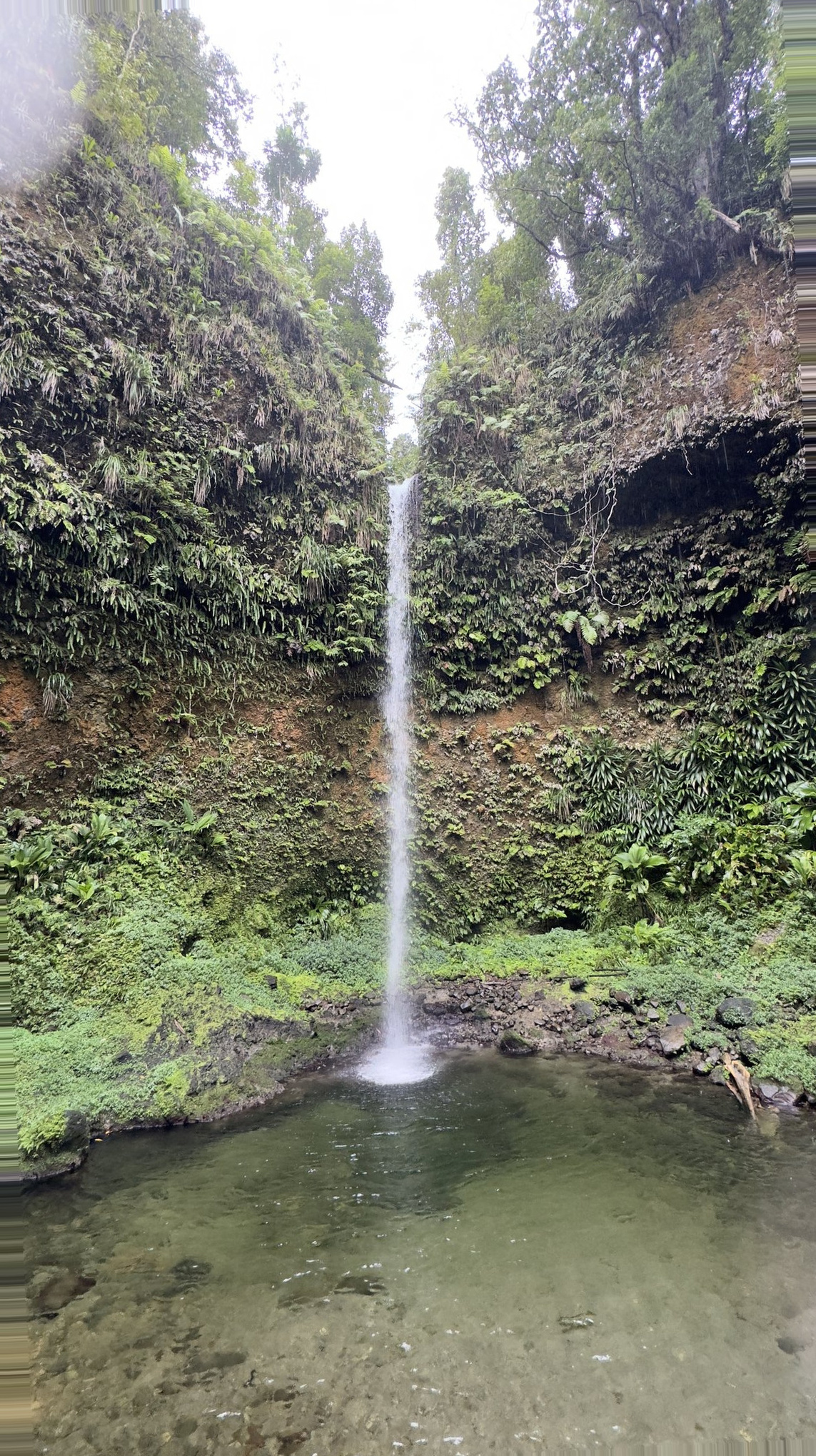 Dominica Cruise Port - Cascading Waterfall Lush Tropical Foliage - 01-02-2024 - Vertical.jpg