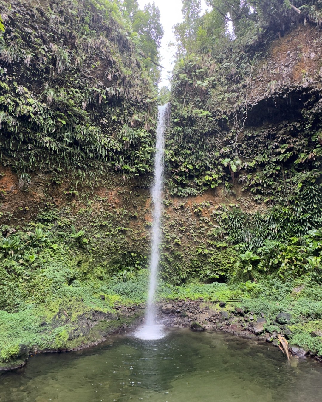 Dominica Cruise Port - Tropical Waterfall Lush Green Canyon Pool - Vertical 04.jpg