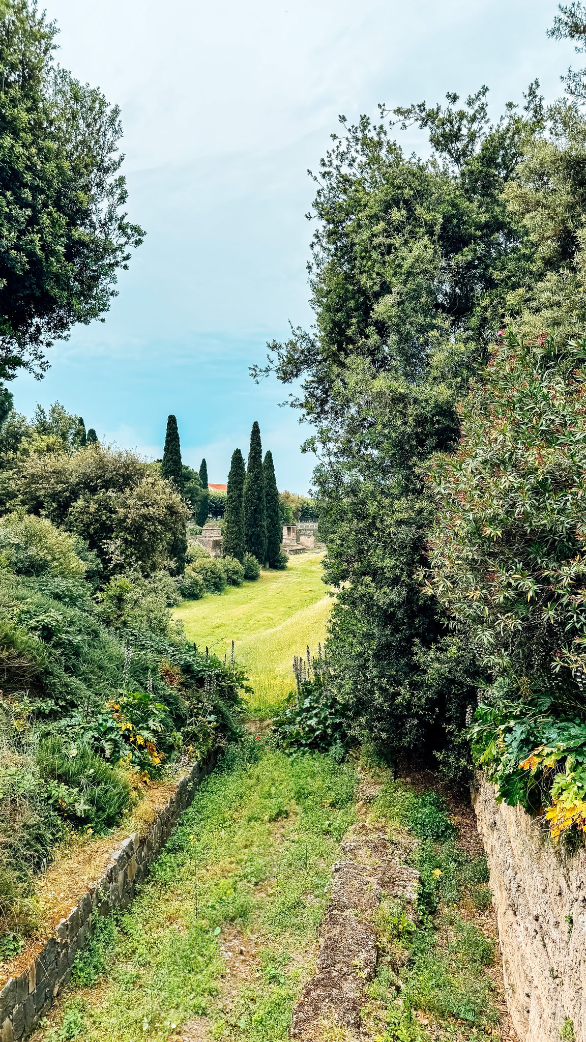 Salerno Cruise Port - Pompeii Europe Grennery Lush Evergreen Trees Verdant Grassy - 05-20-2025 - Vertical.jpg