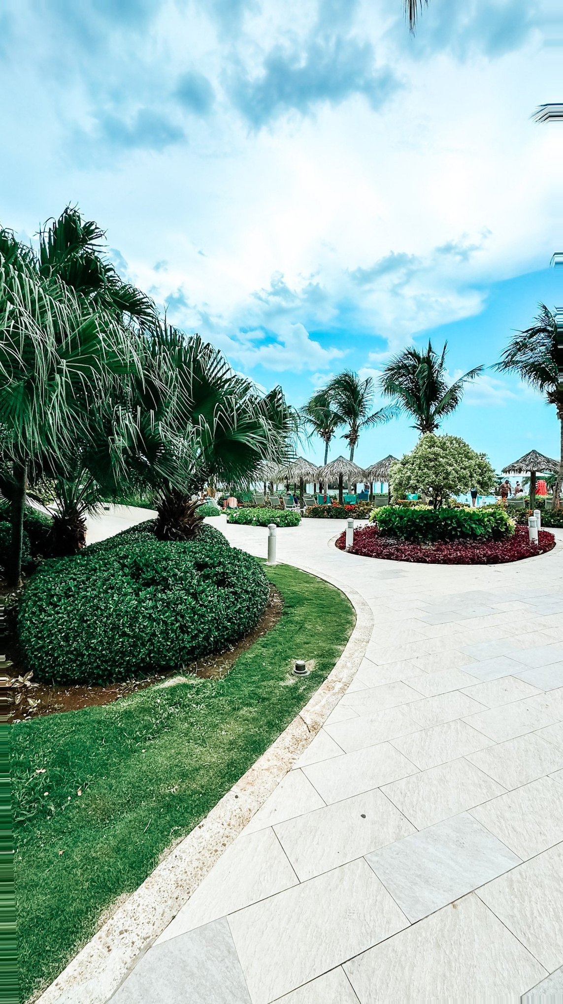 Falmouth Cruise Port - Jamaica Jamaica Lush Tropical Garden Walkway Ornamental Foliage - 07-01-2024 - Vertical.jpg