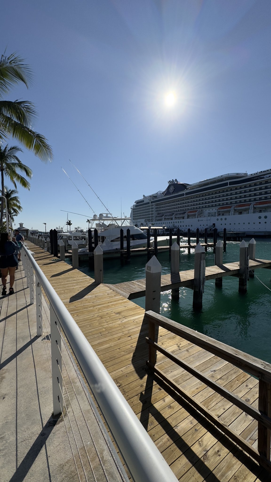 Key West Cruise Port - Wooden Dock Palm Tree Ship - 02-24-2024 - Vertical.jpg