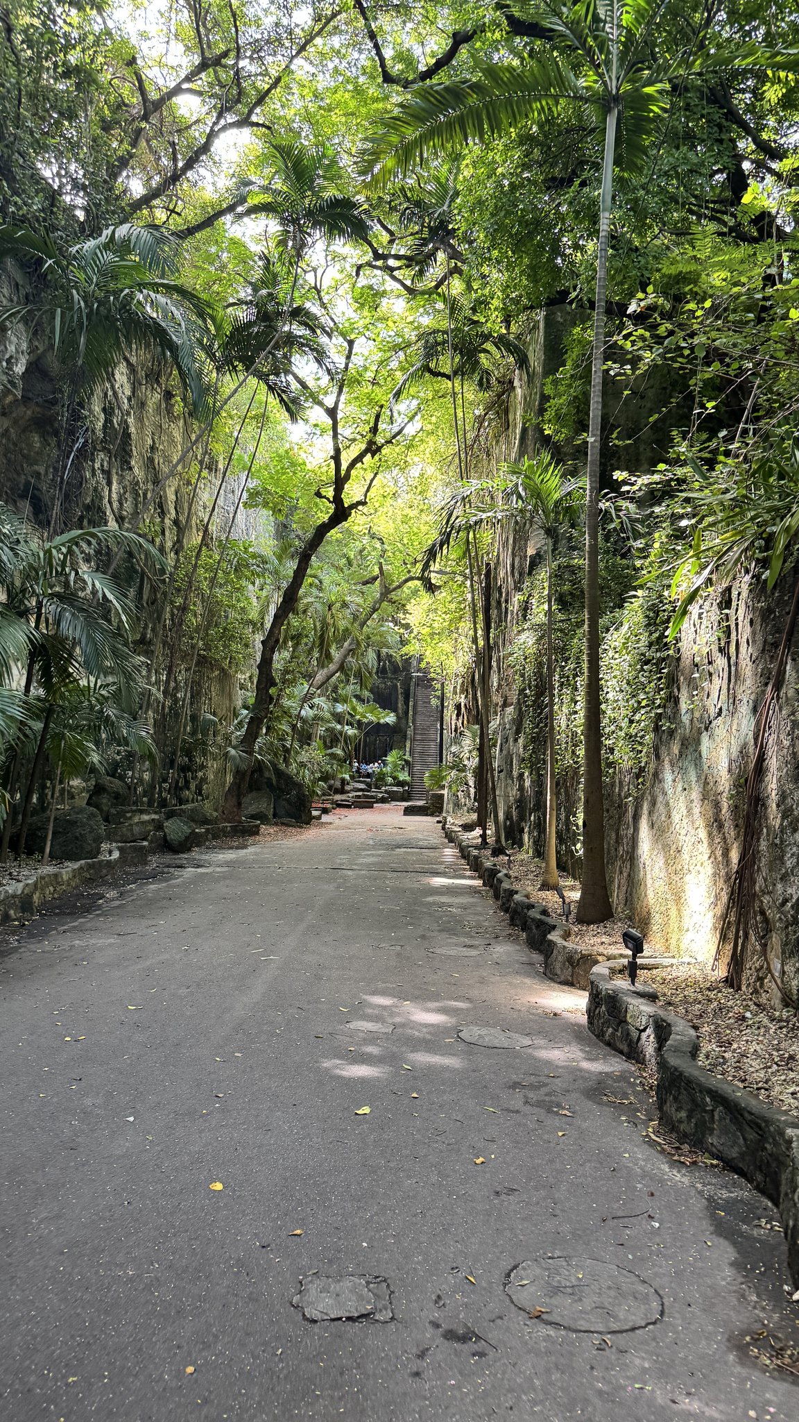 Nassau Cruise Port - A lush, green walkway through a tropical forest setting - 09-20-2025 - Vertical.jpg