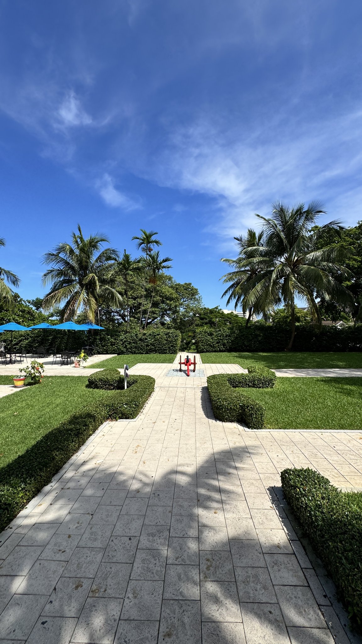 Nassau Cruise Port - Atlantis - Beautiful outdoor scene with palm trees and lush - 09-20-2025 - Vertical.jpg