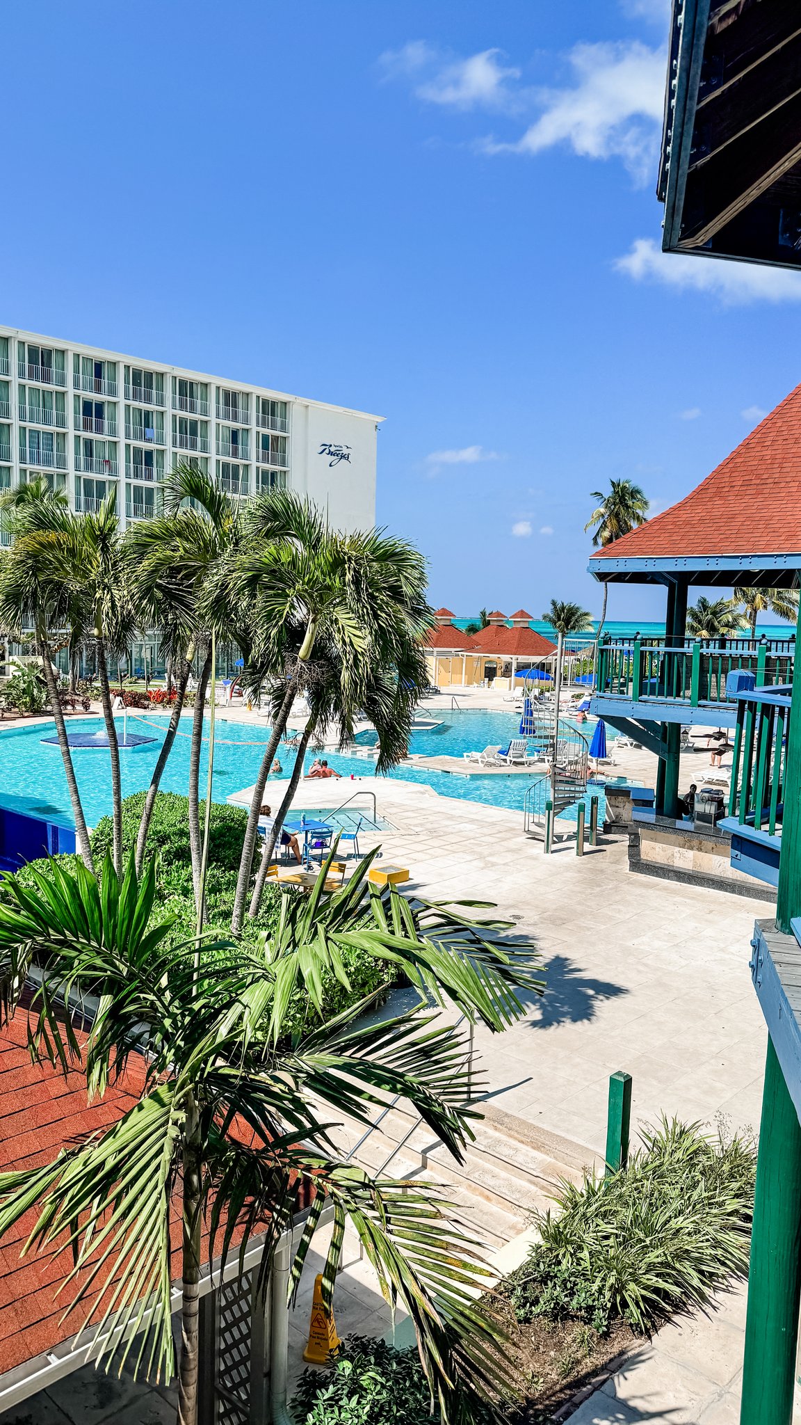Nassau Cruise Port - Atlantis Resort Pool Water Slides Palm Trees - 03-02-2025 - Vertical 11.jpg