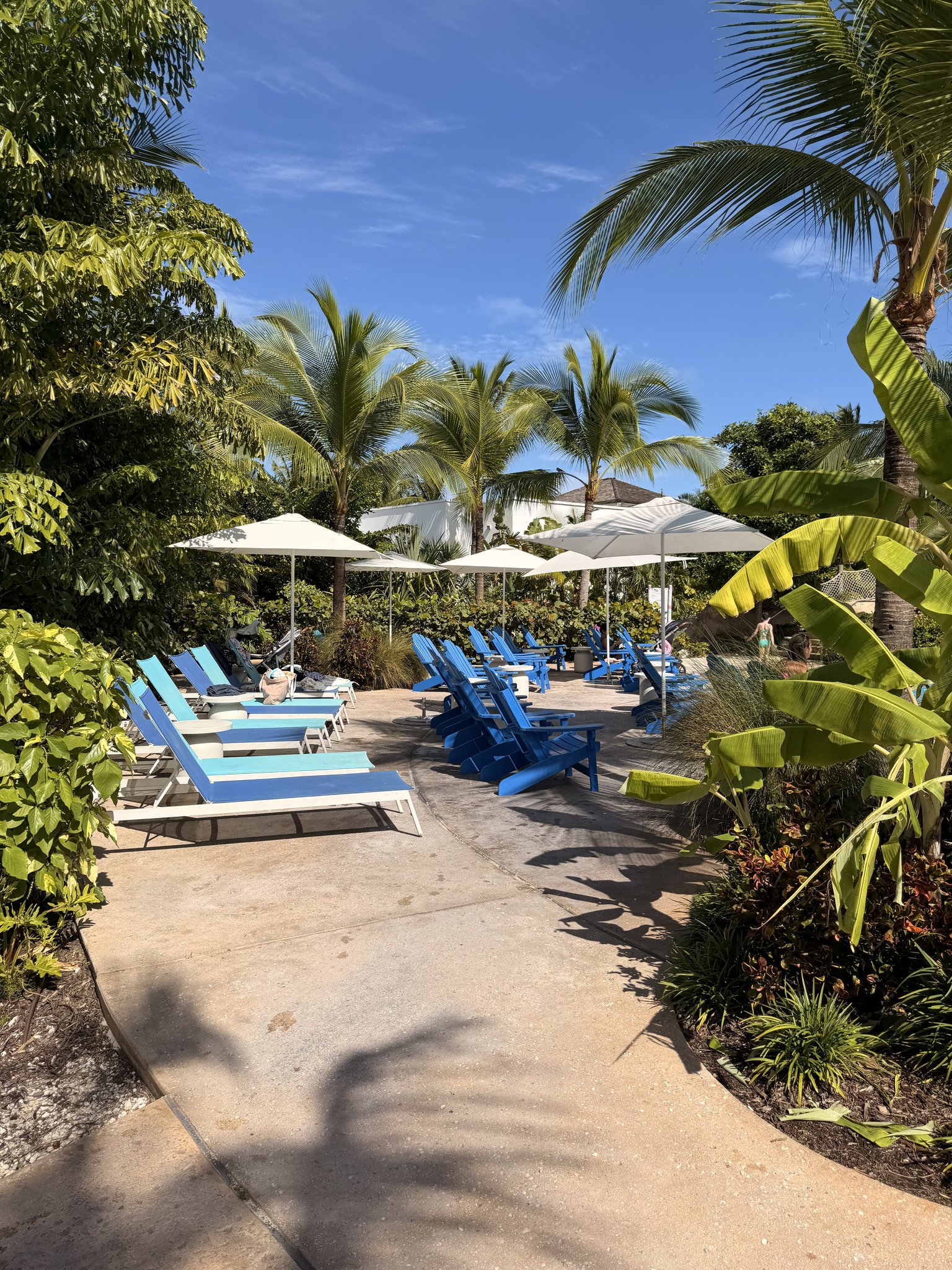 Nassau Cruise Port - Baha Mar - A lush tropical garden setting with palm trees, lounge - 11-06-2025 - Vertical.jpg