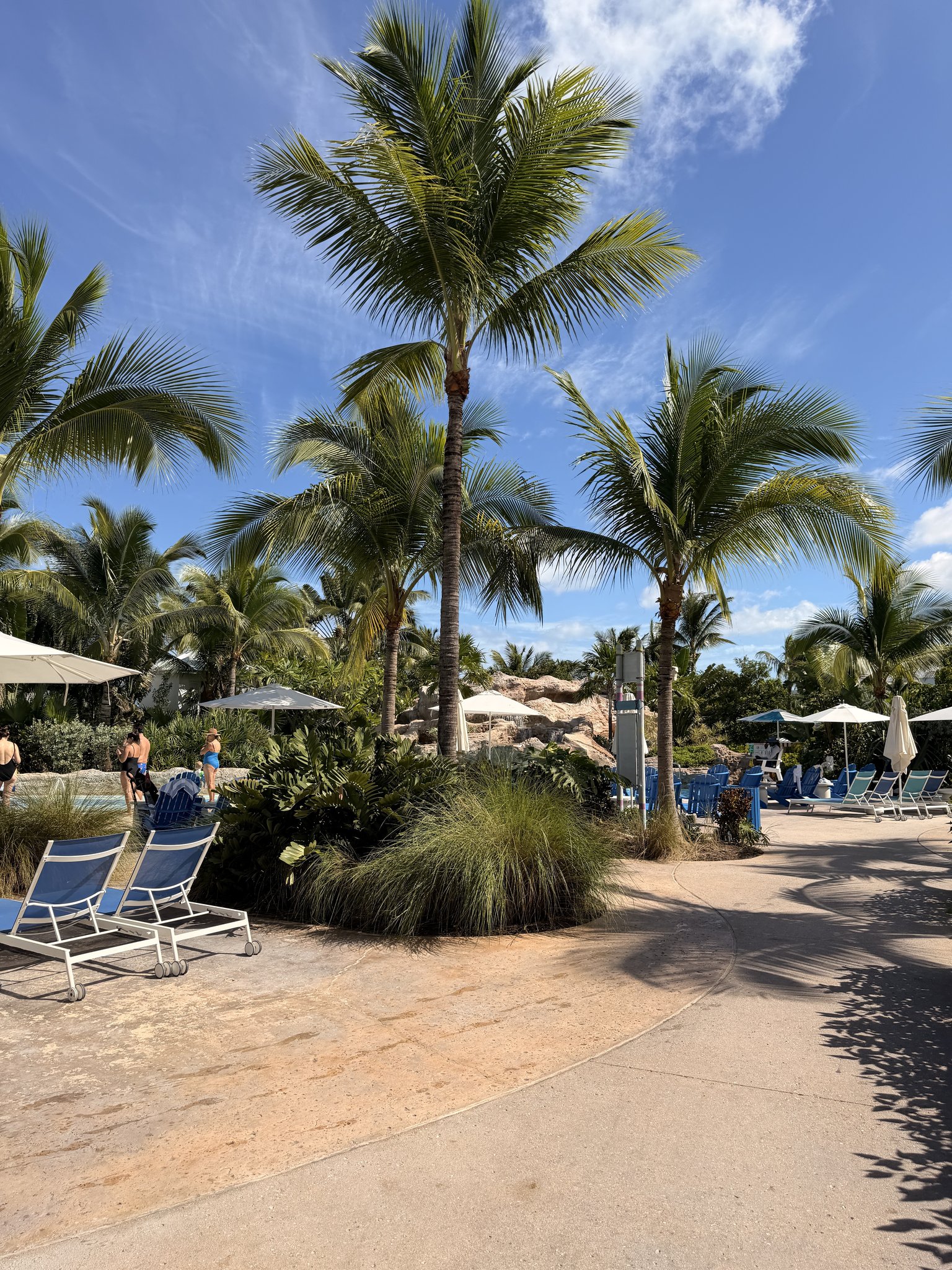Nassau Cruise Port - Baha Mar - A picturesque tropical scene with lush palm trees and - 11-06-2025 - Vertical.jpg