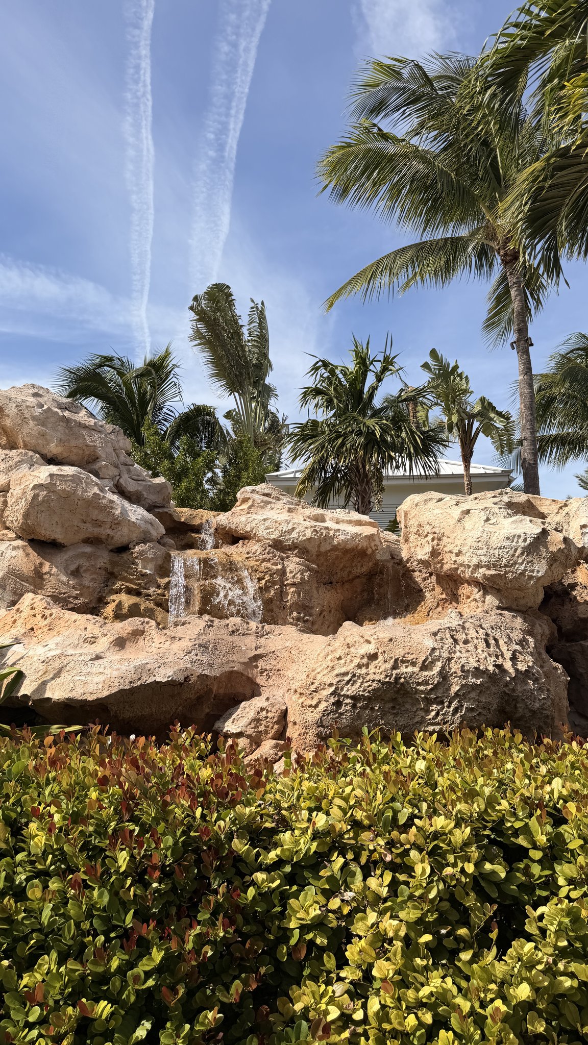 Nassau Cruise Port - Baha Mar - A scenic tropical landscape with palm trees and a - 11-06-2025 - Vertical.jpg