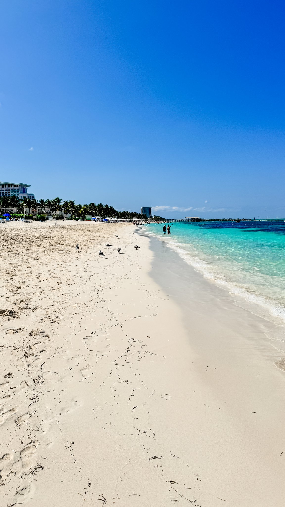 Nassau Cruise Port - Cabbage Beach - A tranquil sandy beach with crystal clear turquoise - 03-02-2025 - Vertical.jpg